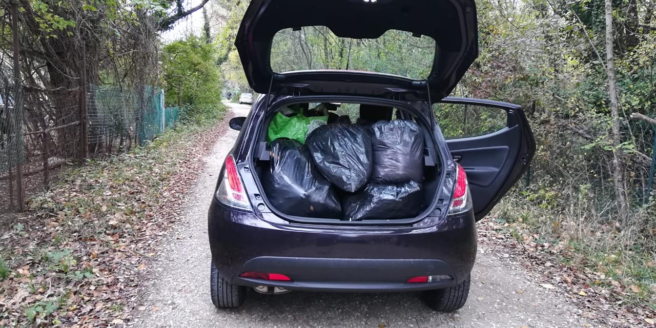 Clean-up bosco di Vignano