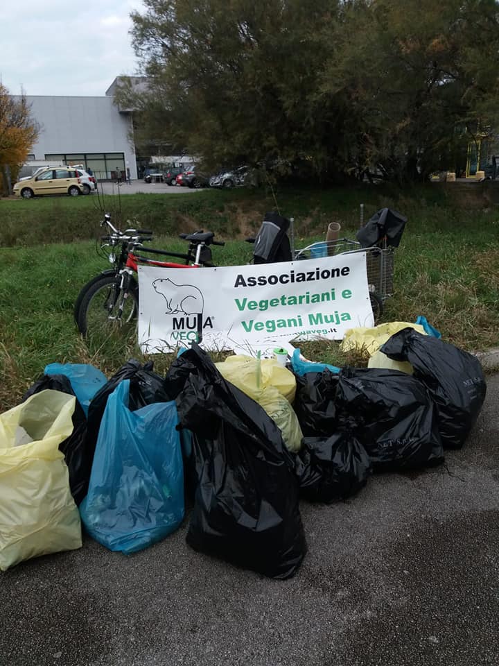 Clean-up Torrente Rabuiese