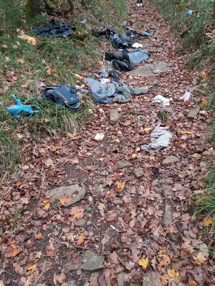 Clean-up bosco di Vignano