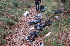 Clean-up bosco di Vignano