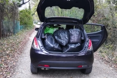 Clean-up bosco di Vignano