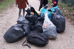 Clean-up bosco di Vignano