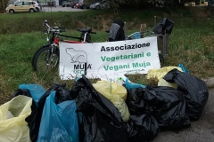 Clean-up Torrente Rabuiese