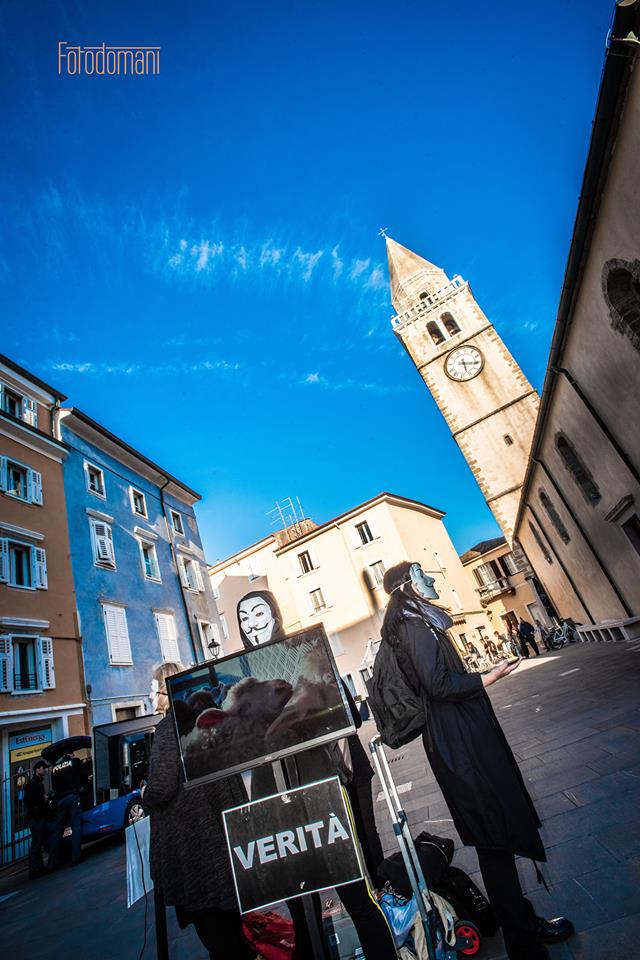 Cube of truth Muggia04