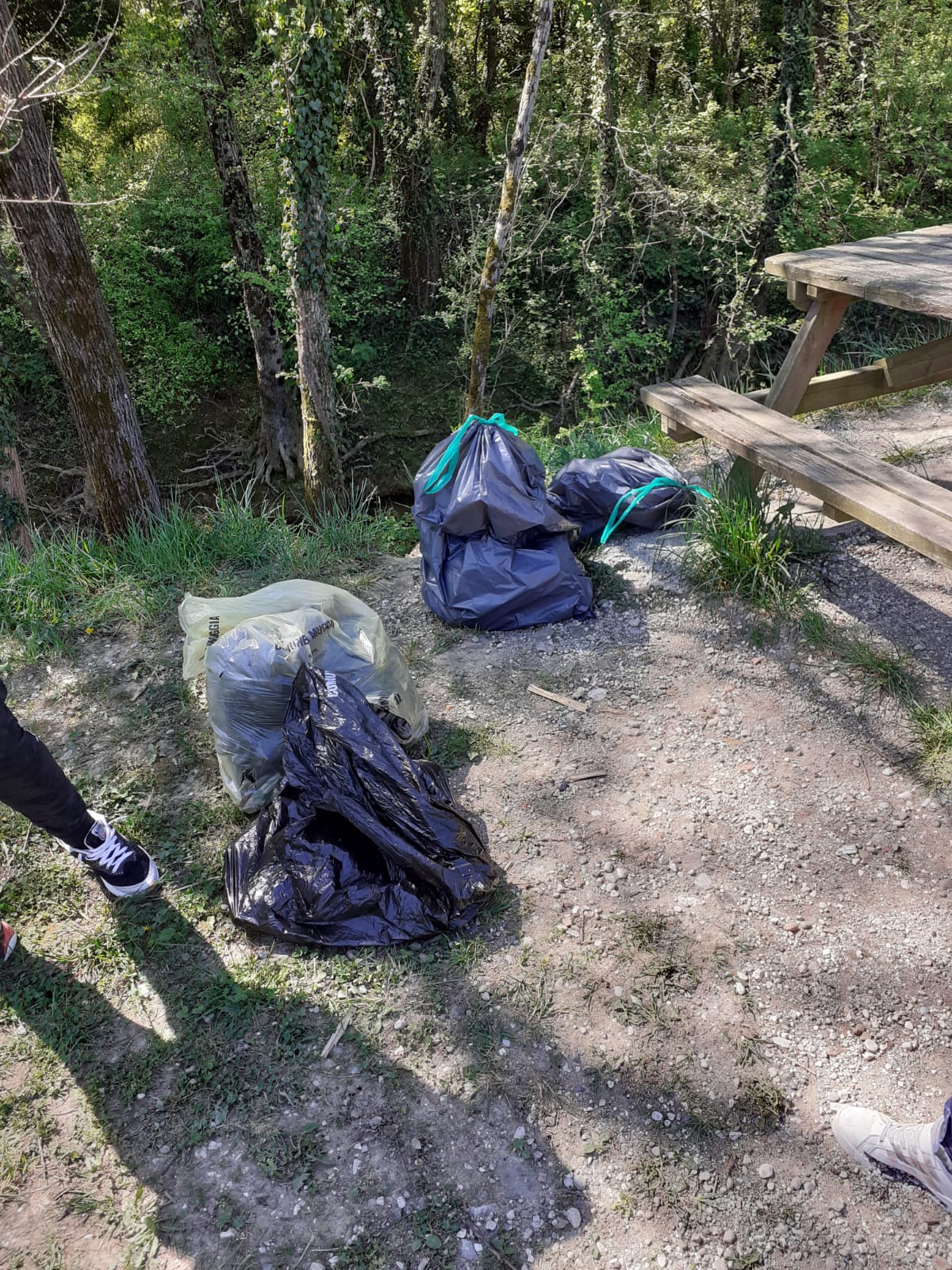 CLEAN UP BOSCO DI VIGNANO E DEL RIO OSPO