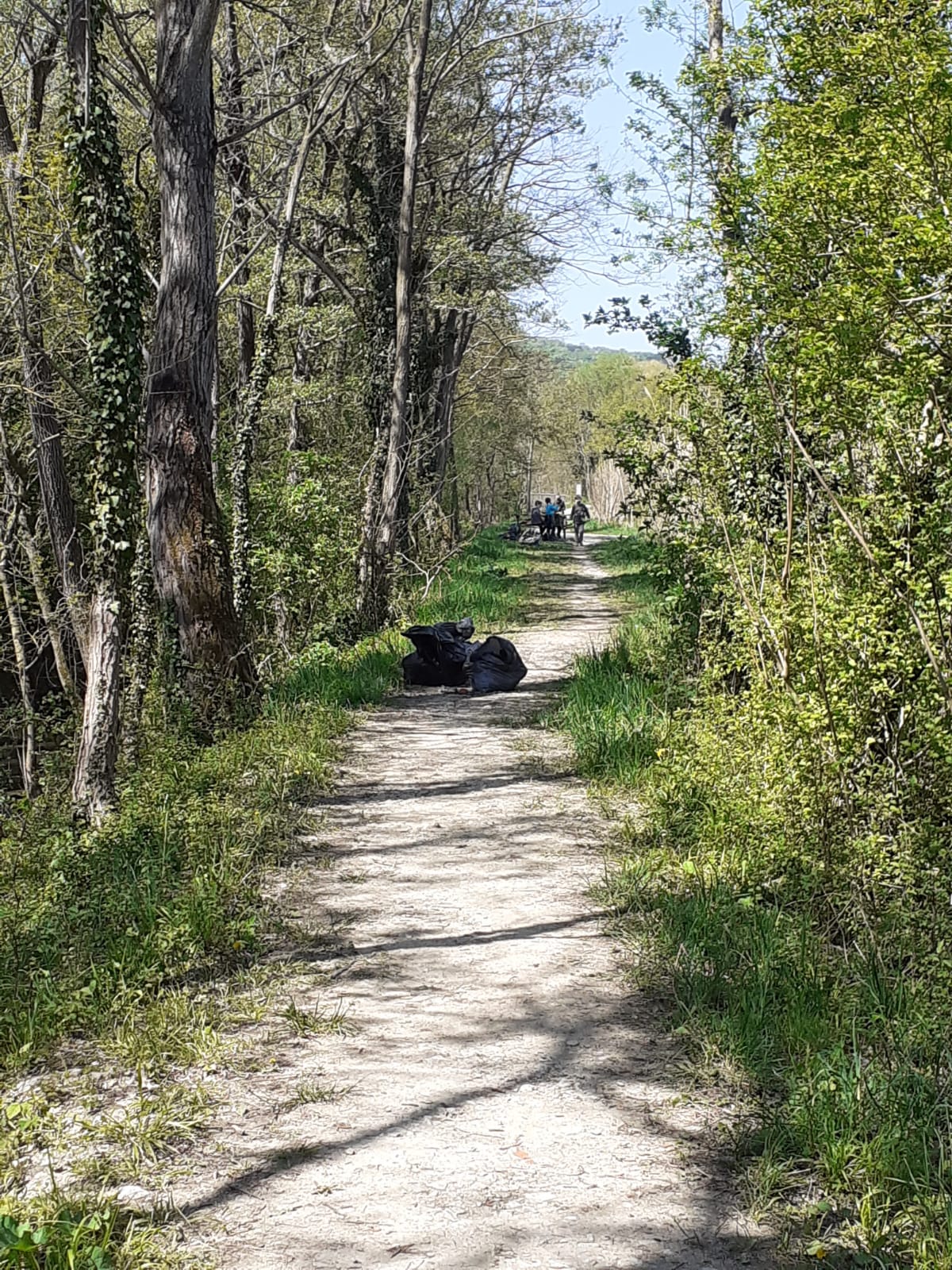 CLEAN UP BOSCO DI VIGNANO E DEL RIO OSPO