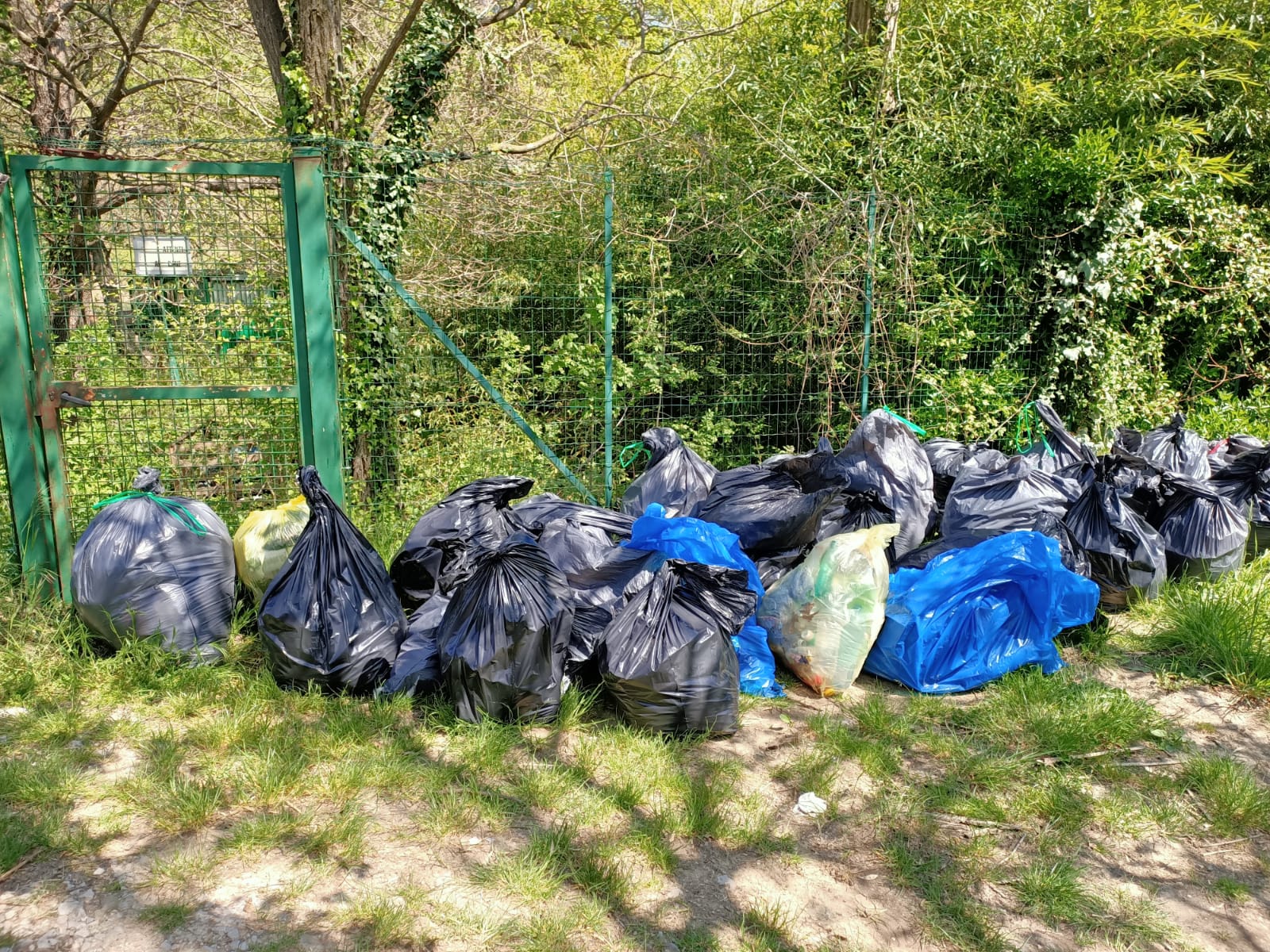 CLEAN UP BOSCO DI VIGNANO E DEL RIO OSPO