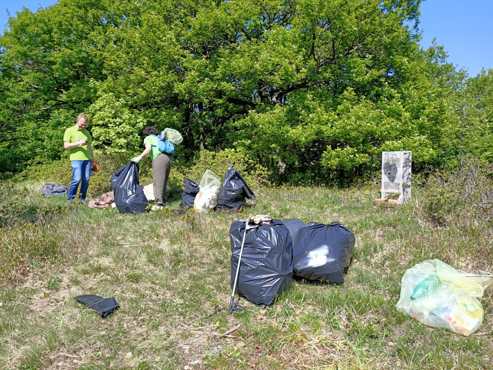 CLEAN UP BOSCO DI VIGNANO E DEL RIO OSPO