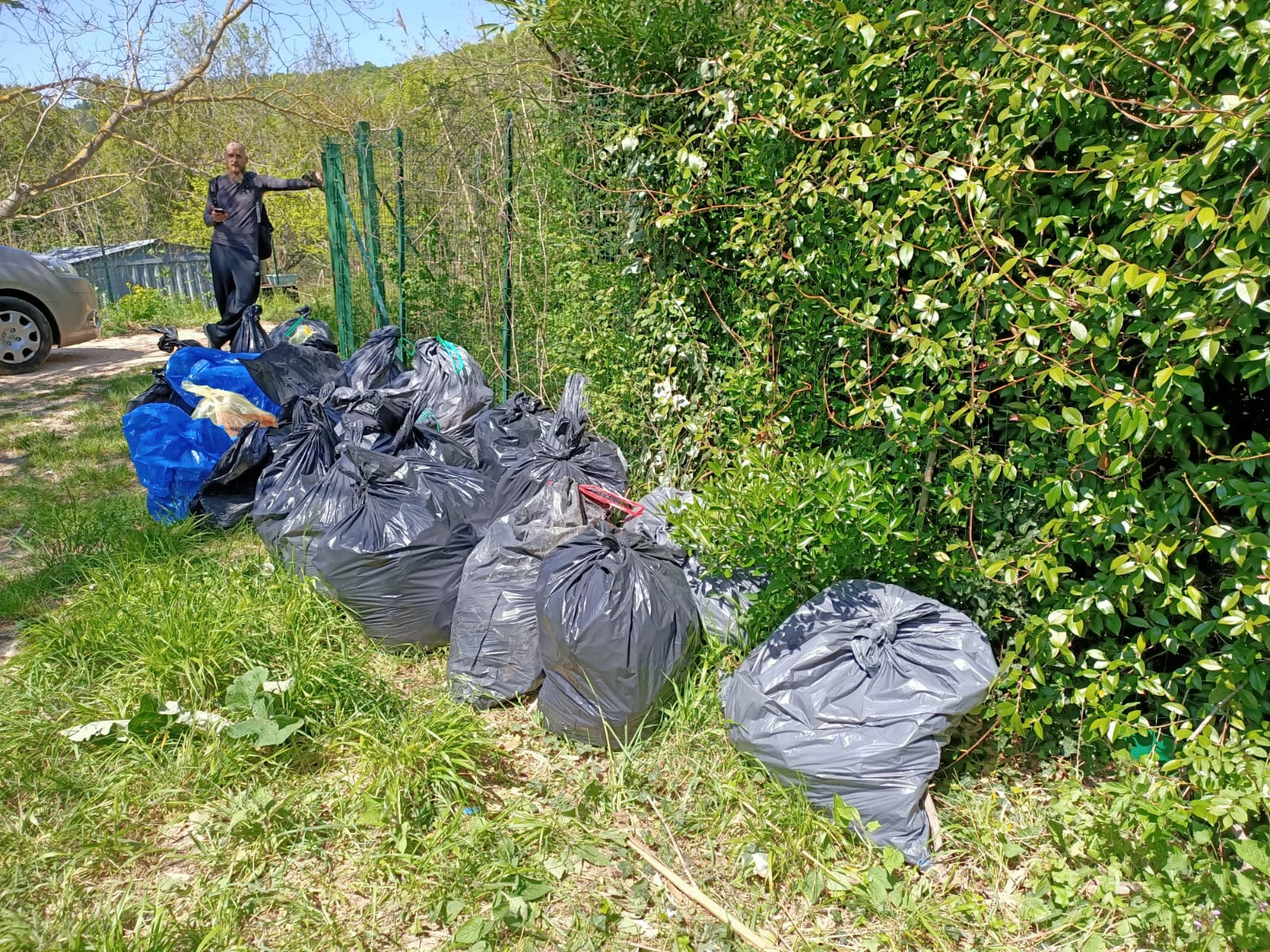 CLEAN UP BOSCO DI VIGNANO