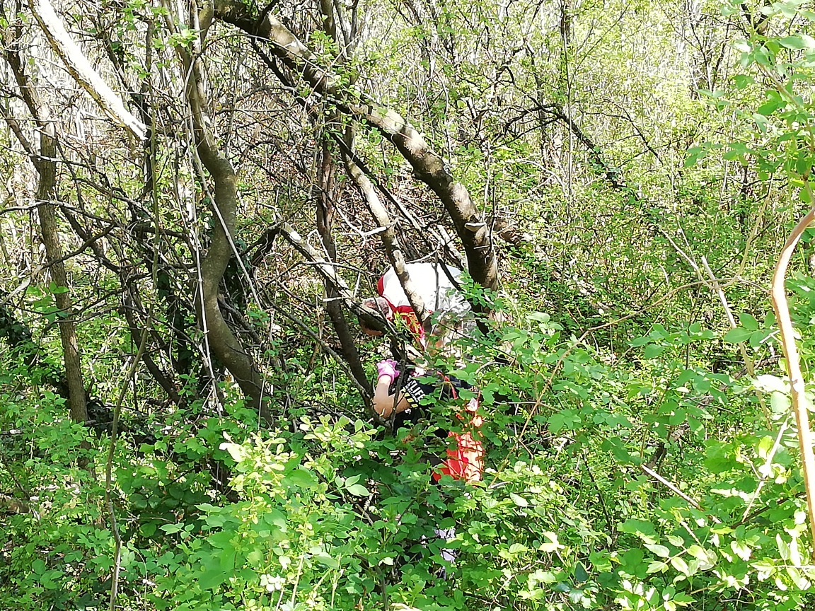 CLEAN UP BOSCO DI VIGNANO E DEL RIO OSPO