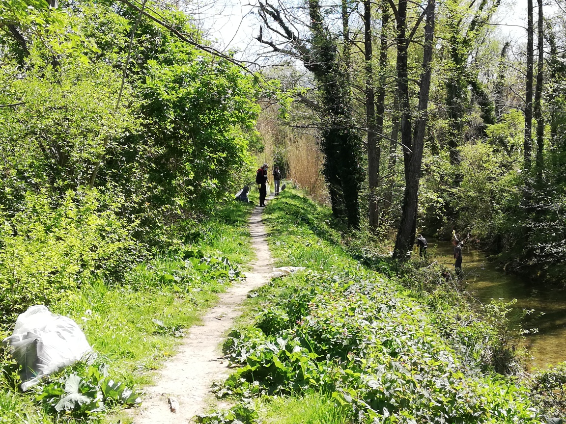 CLEAN UP BOSCO DI VIGNANO E DEL RIO OSPO