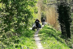 CLEAN UP BOSCO DI VIGNANO E DEL RIO OSPO