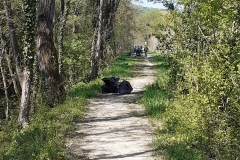 CLEAN UP BOSCO DI VIGNANO E DEL RIO OSPO