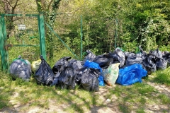 CLEAN UP BOSCO DI VIGNANO E DEL RIO OSPO
