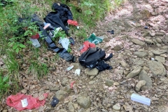 CLEAN UP BOSCO DI VIGNANO E DEL RIO OSPO