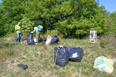 CLEAN UP BOSCO DI VIGNANO E DEL RIO OSPO