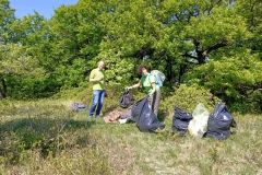 CLEAN UP BOSCO DI VIGNANO E DEL RIO OSPO