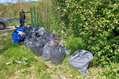 CLEAN UP BOSCO DI VIGNANO