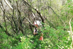 CLEAN UP BOSCO DI VIGNANO E DEL RIO OSPO