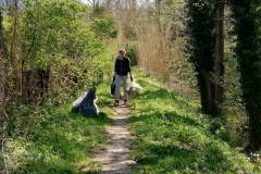 CLEAN UP BOSCO DI VIGNANO E DEL RIO OSPO