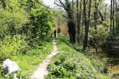 CLEAN UP BOSCO DI VIGNANO E DEL RIO OSPO