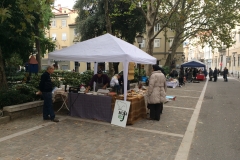 Voci in piazza 2016